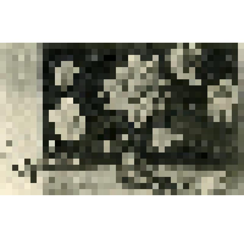 Карточка почтовая "Поздравляю!"