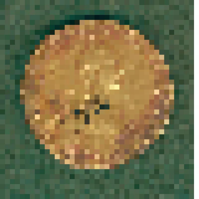 Монета русская. 10 рублей