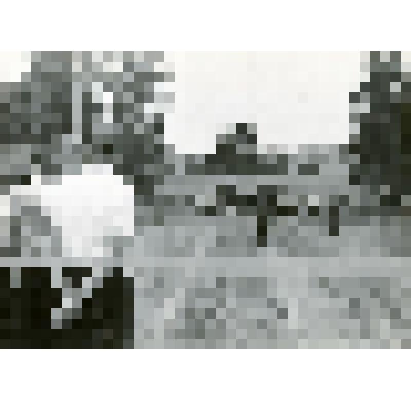 Фотография ч/б. Открытие базы отдыха СХК (Сибирского химического комбината) на р. Яя