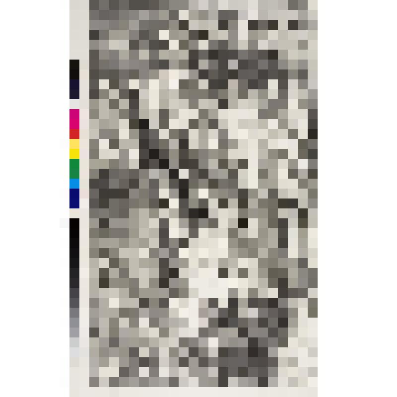 Трубка мира, гравюра