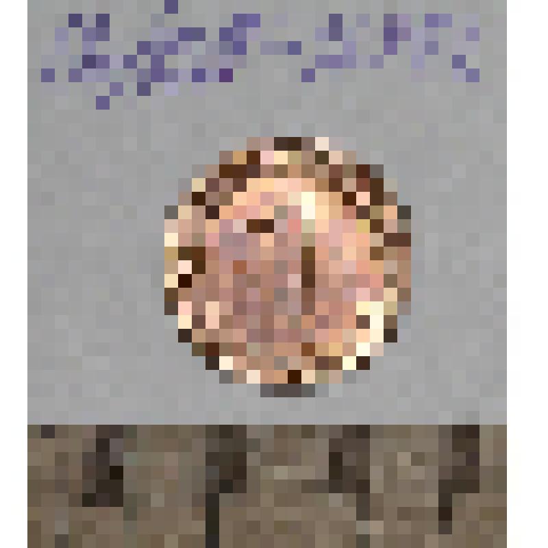 Монета. 1 пфенниг