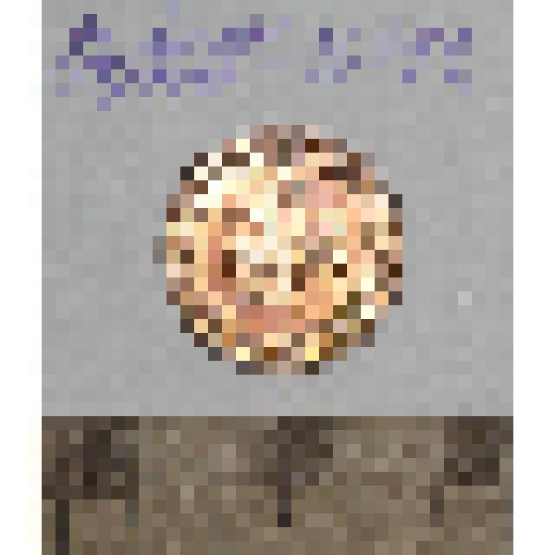 Монета. 1 пфенниг