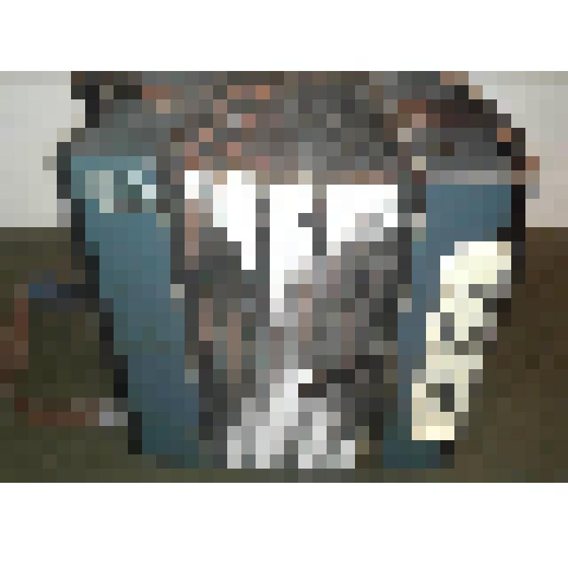 Гармонь двухрядка