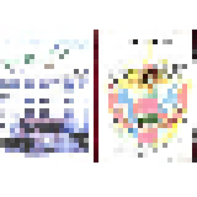 Приветственный адрес Президенту, Главе Правительства Республики Тыва Ш.Д.Ооржаку от начальника Кызылского пограничного отряда полковника А.А. Сиднева, 09 сентября 2004 г