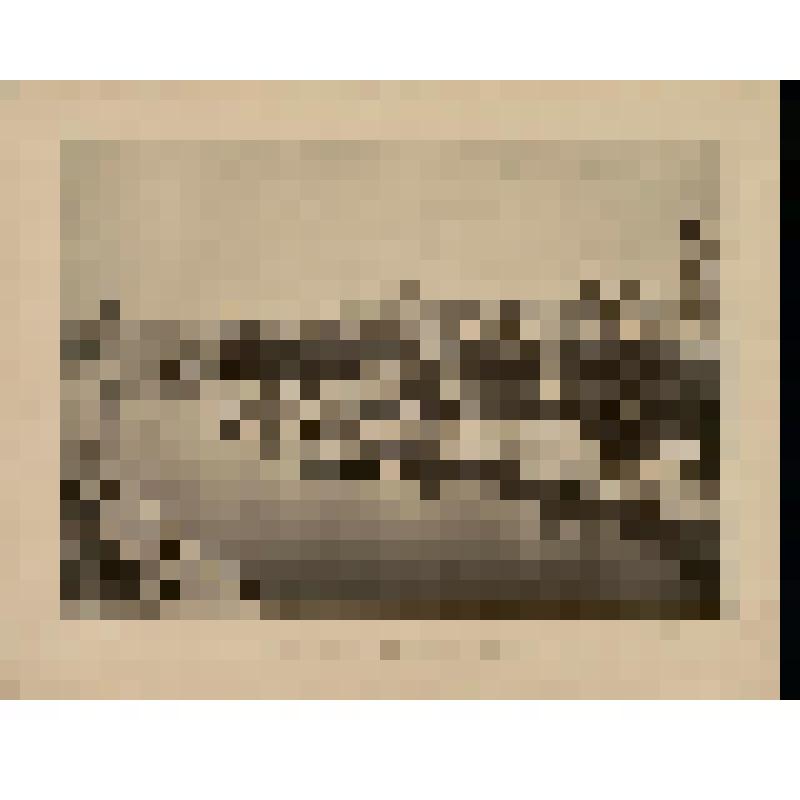 Фототипия. Празднование 900-летия крещения Руси 15 июля 1888 года