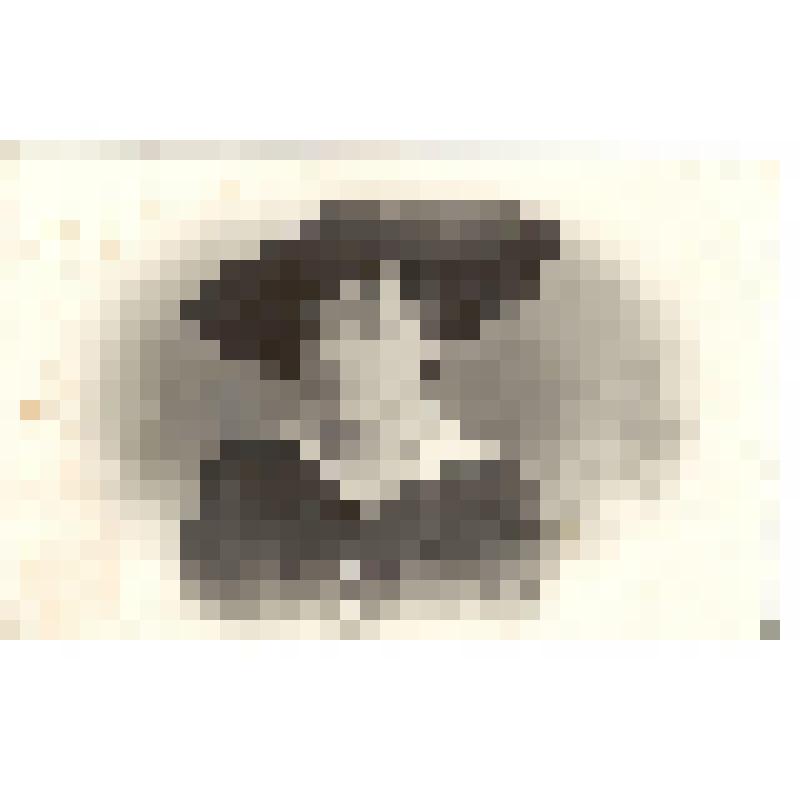 Фотография. Самойлова Лидия Петровна