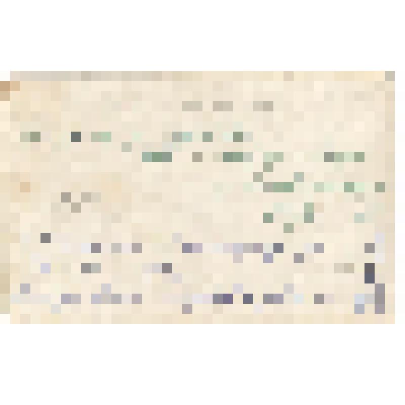 Фотография. Самойлова Лидия Петровна