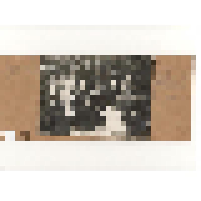 Фотография. Служащие Б.Мурашкинского кредитно-промыслового т-ва "Культура"