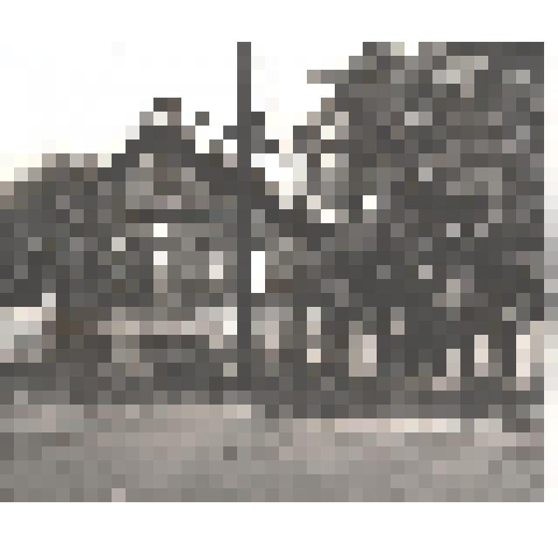 Фотография "Деревня Жешарт улица Центральная, д.119. Дом Политова Ивана Павловича."