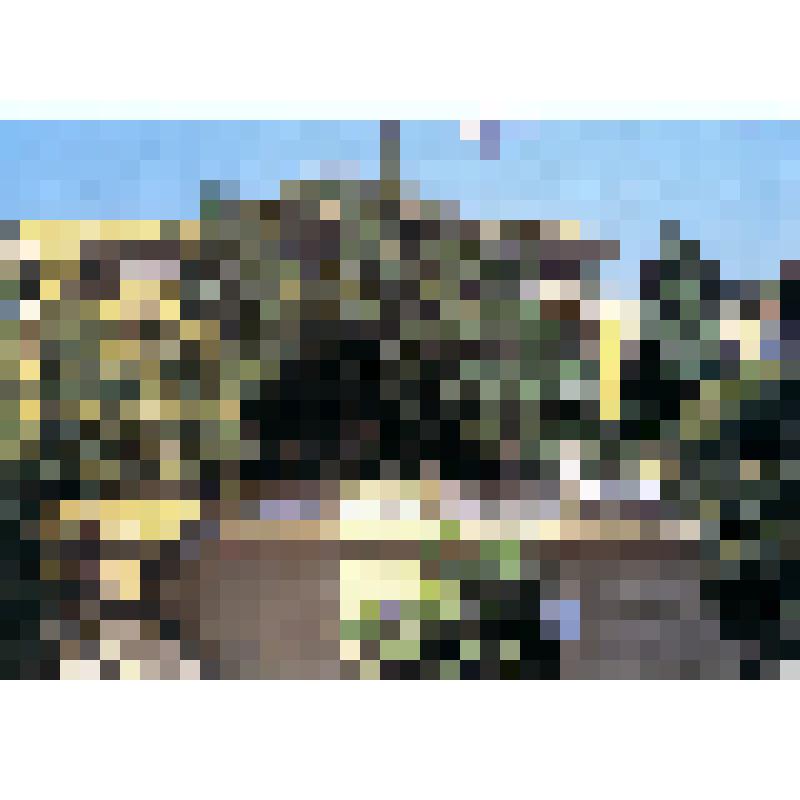 Открытка "Сочи. Санаторий им. Кирова" из комплекта открыток "Сочи - город здоровья". Издание: М.: "Внешторгиздат". СССР, 1981 г