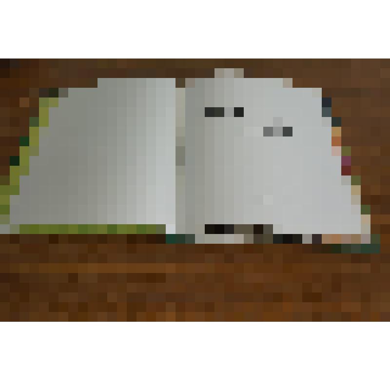 Книга.Павлова Евгения, Текут воды, веют ветры..., г.Оренбург, 2008 г