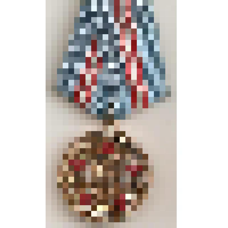 Медаль юбилейная "50 лет Вооруженных Сил СССР" Пастухова Ф.М