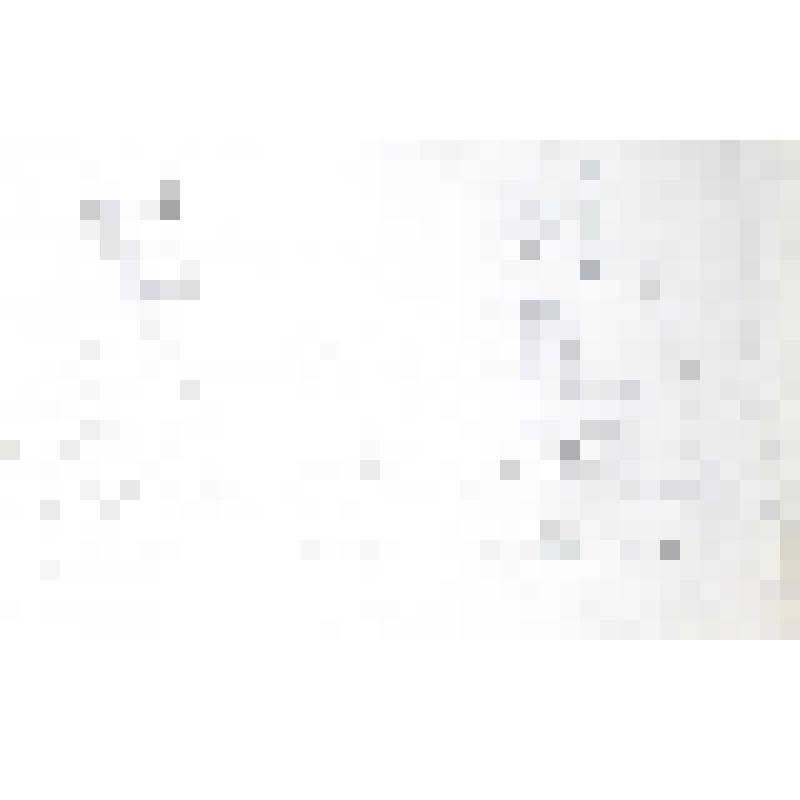 Обнаженные натуры. 1971. Из серии «Фигура»