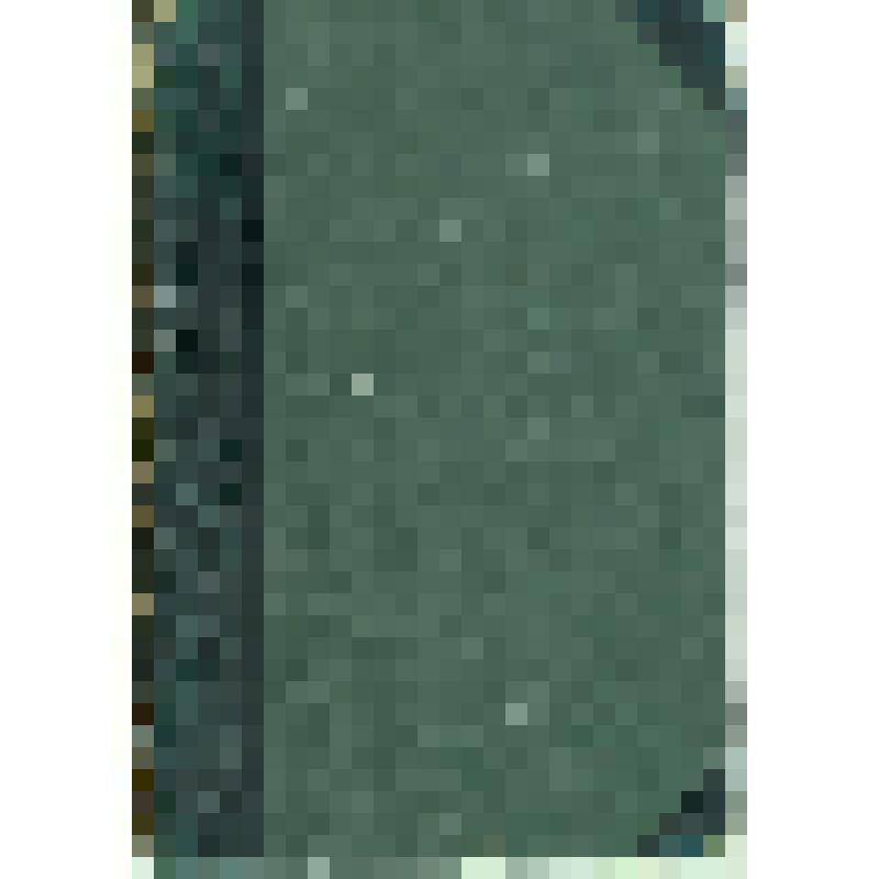 Книга. «Большая Энциклопедия» 
Словарь общедоступных сведений по всем отраслям знания. Под редакцией С.Н. Южакова. 
том 22 (Дополнительный)
Лит. Мендельсон – Фразибул.
Около 10.000 иллюстраций в тексте и на приблизительно 1000 отдельных приложений: хромол