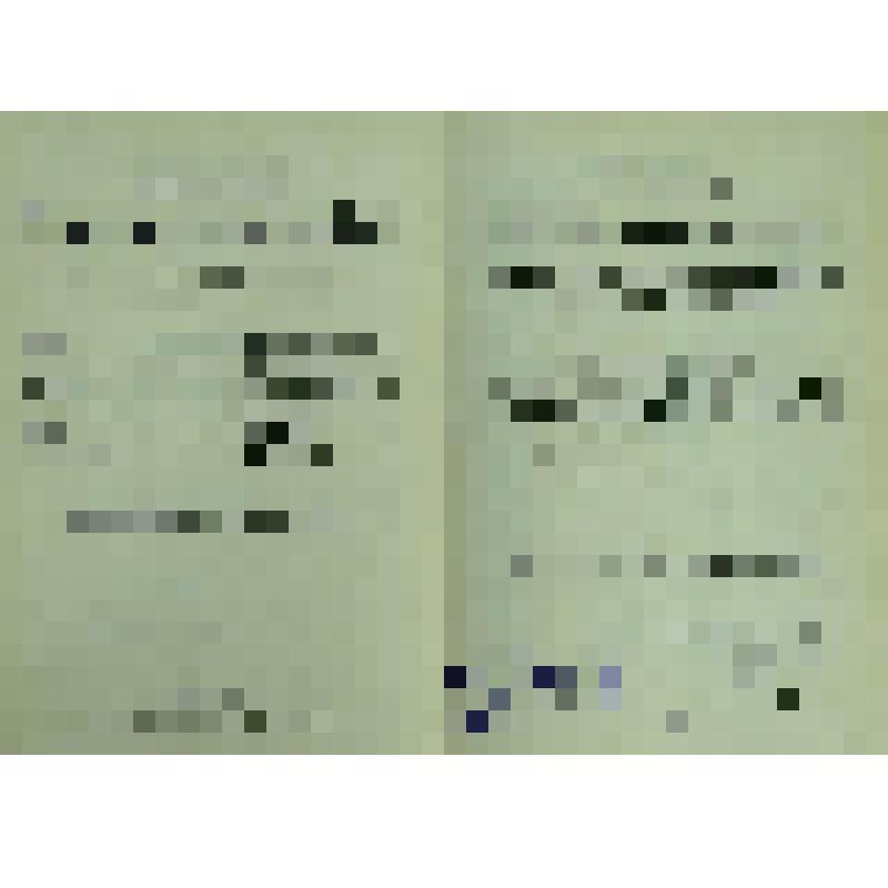 Книга. «Большая Энциклопедия» 
Словарь общедоступных сведений по всем отраслям знания. Под редакцией С.Н. Южакова. 
том 22 (Дополнительный)
Лит. Мендельсон – Фразибул.
Около 10.000 иллюстраций в тексте и на приблизительно 1000 отдельных приложений: хромол