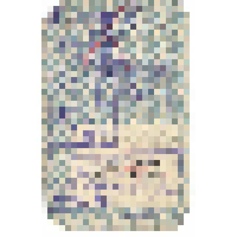 Вырезка  из печатного издания. Маттиа Баттистини (1856-1928), итальянский оперный певец (баритон). XIX в., конец - ХХ в., начало. Россия