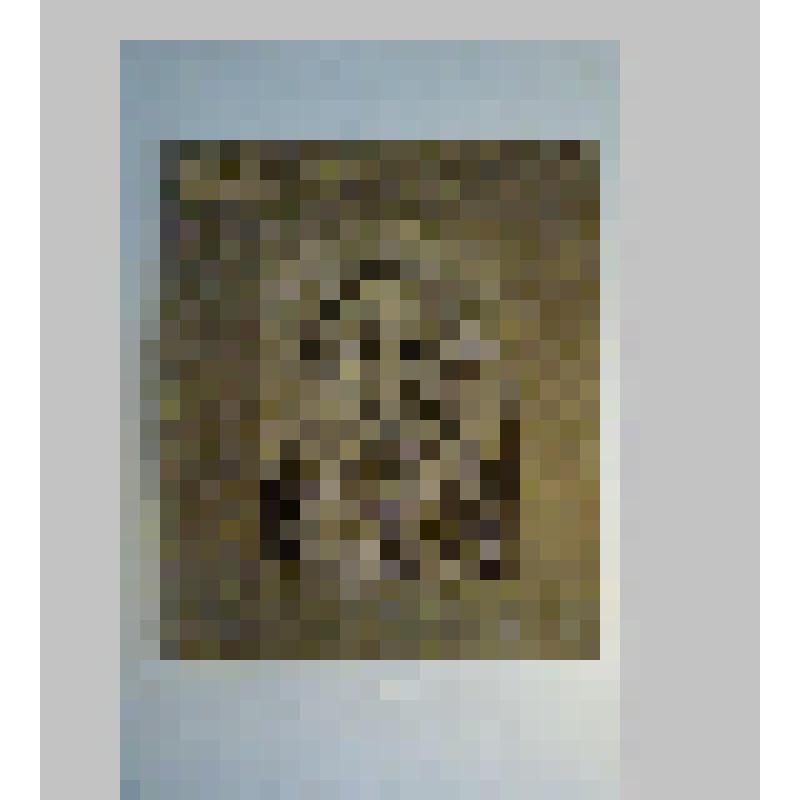 Тканый портрет Л. Н. Толстого в картонной рамке