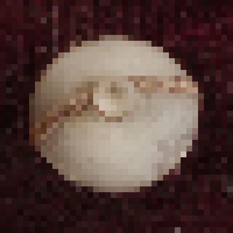 Коробка с костяными бирюльками: дегтярница