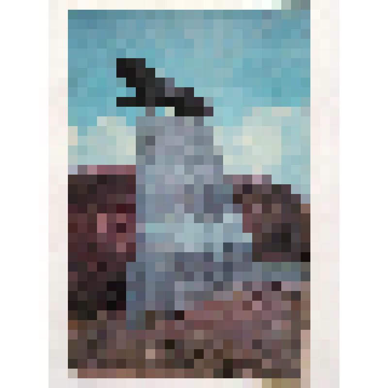 Гегард. Скульптура "Львица". 1958. из комплекта. Арутюнян А. Общий вид. Центральный совет по туризму и экскурсиям ВЦСПС ,Москва. Книжная ф-ка № 1 Росглавполиграфпрома, Электросталь