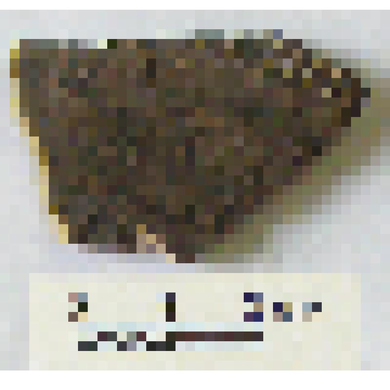 Фрагмент  тулова сосуда