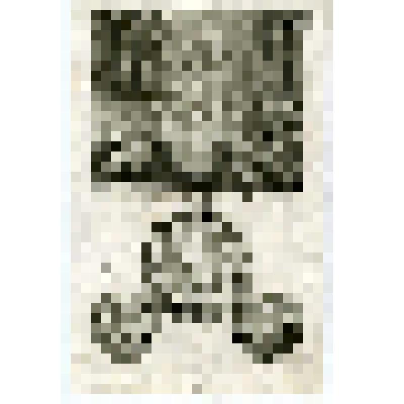 Офорт. Лист 175. Стефан пред иудейским синедрионом с лицом, как у Ангела. Видение Стефану Иисуса, стоящего одесную Бога; побиение Стефана камнями. Стефан пред синедрионом. Павел посылает слепоту на Элима (Деян. 6, 7, 13)