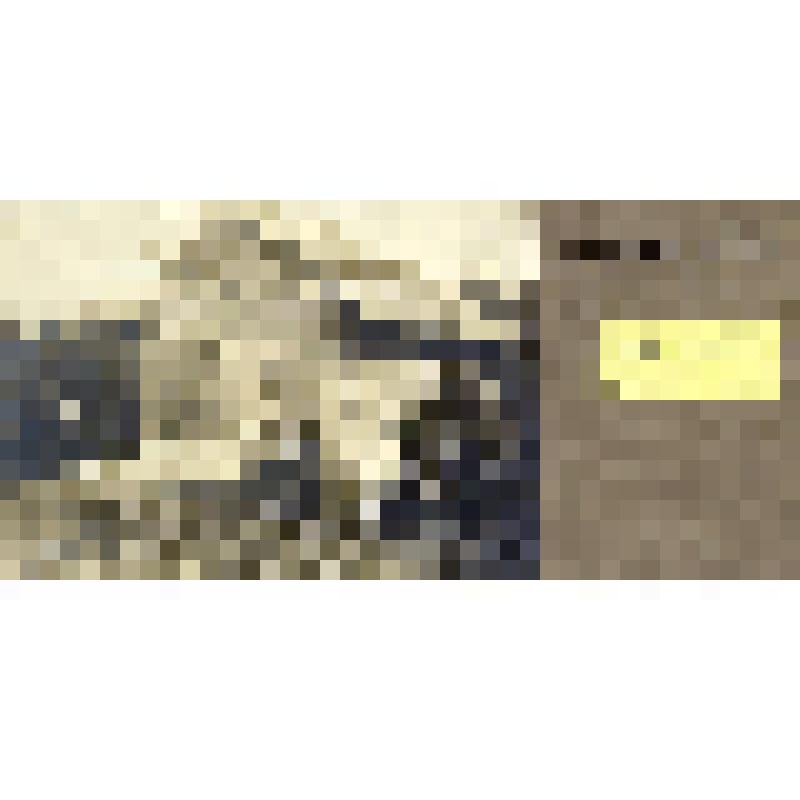 Фотоотпечаток. Мельница в Палалхте. Карелы