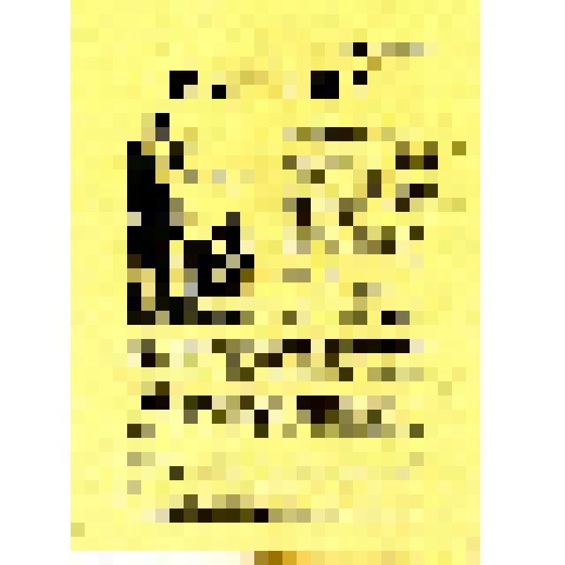 Листовка-пропуск. MATROSEN!(на рум. яз?)