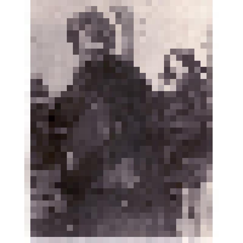 И.Ф.Арманд