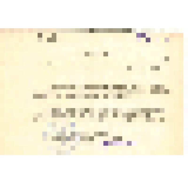 Документ. Выписка из приказа № 85/к министра лесной промышленности СССР о назначении Фокина Петра Алексеевича директором Ирбитского леспромхоза комбината "Свердлес" Главураллеспрома. Г. Москва. 1955 г., ноябрь, 09