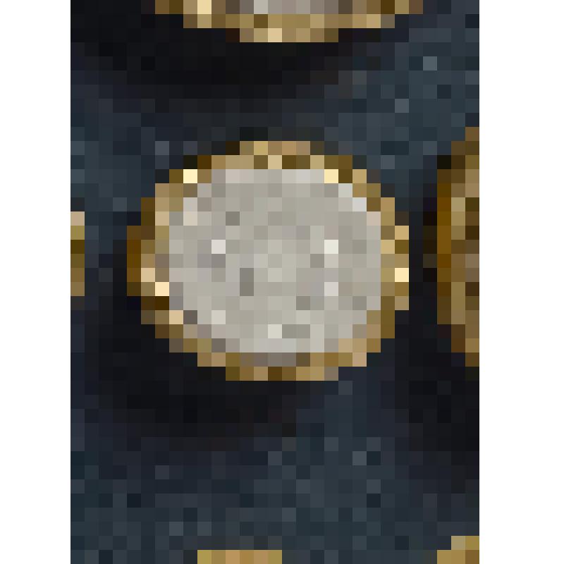 Гемма. Слепок. Грифон