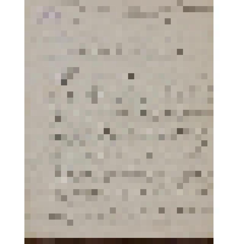 [Козлянинова В.] Письмо Островскому А. Н. о своей пьесе по повести Н. В. Гоголя "Сорочинская ярмарка"