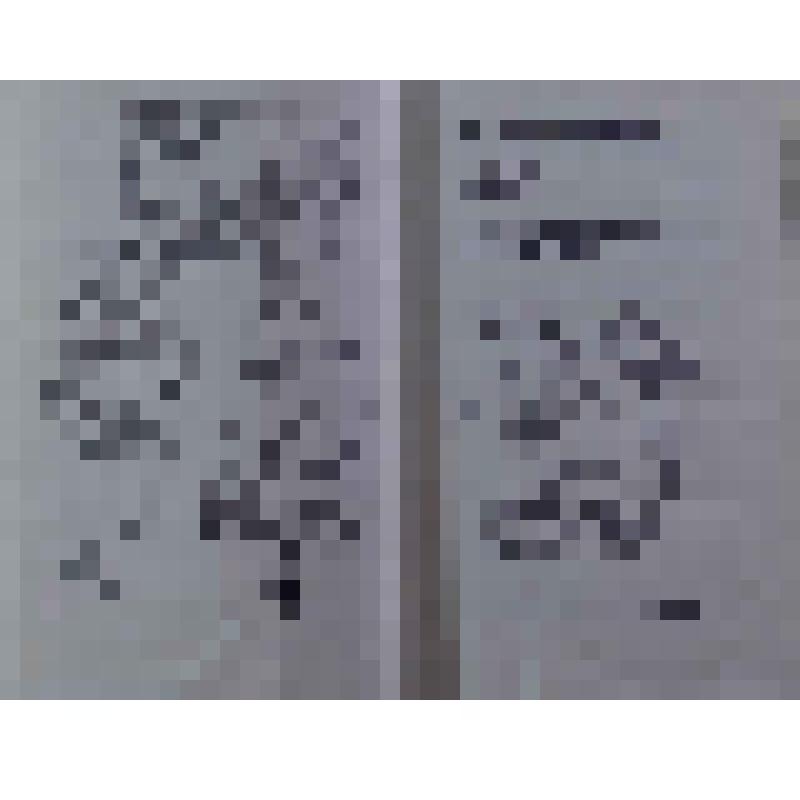 Книга. В Принеманских лесах. Воспоминания партизан и подпольщиков