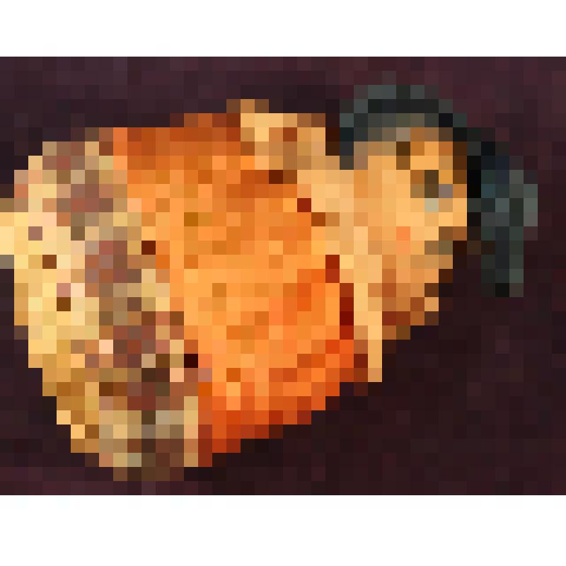 Игрушка елочная. Матрешка, из коллекции игрушек ёлочных. 1950-е  - 1970-е гг