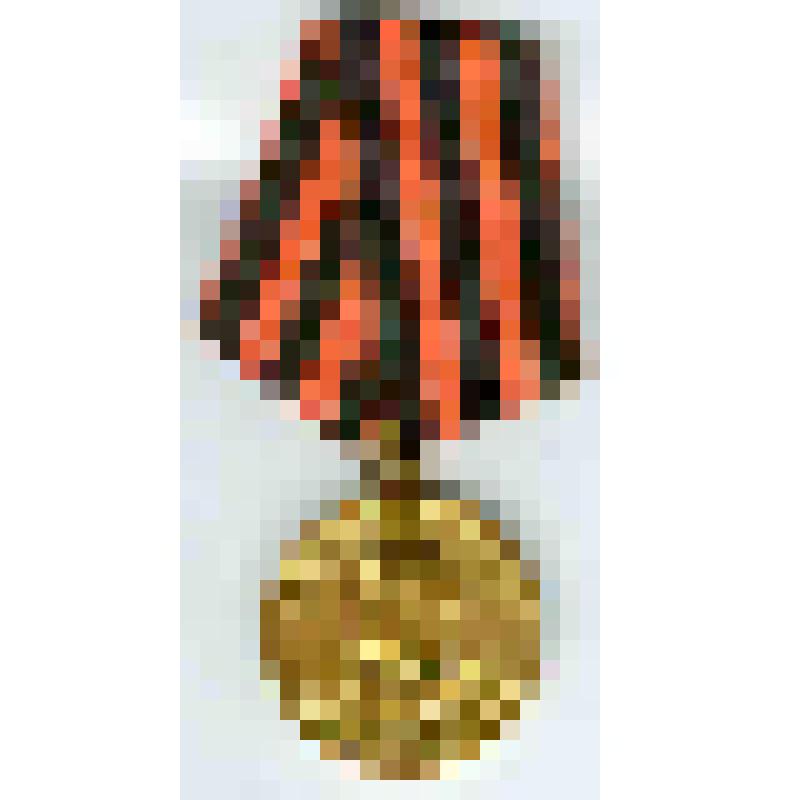 Медаль "За победу над Германией в Великой Отечественной войне 1941 - 1945 гг." Яцкина Ивана Терентьевича, из коллекции государственных наград и документов к ним ветеранов труда супругов Яцкиных Ивана Терентьевича и Зинаиды Семеновны