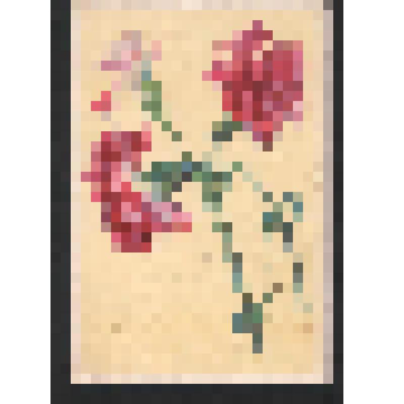 Поздравление Лерочке,  дочери Богомоловой З.А.,  с 41 годовщиной октября