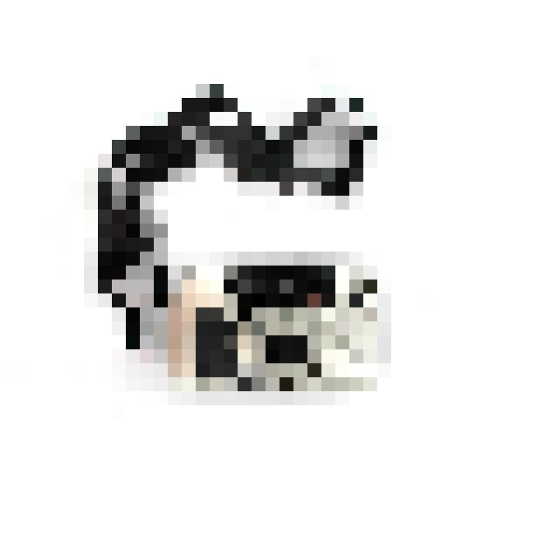 Фотоаппарат Гужвина А.П. "Pentax"