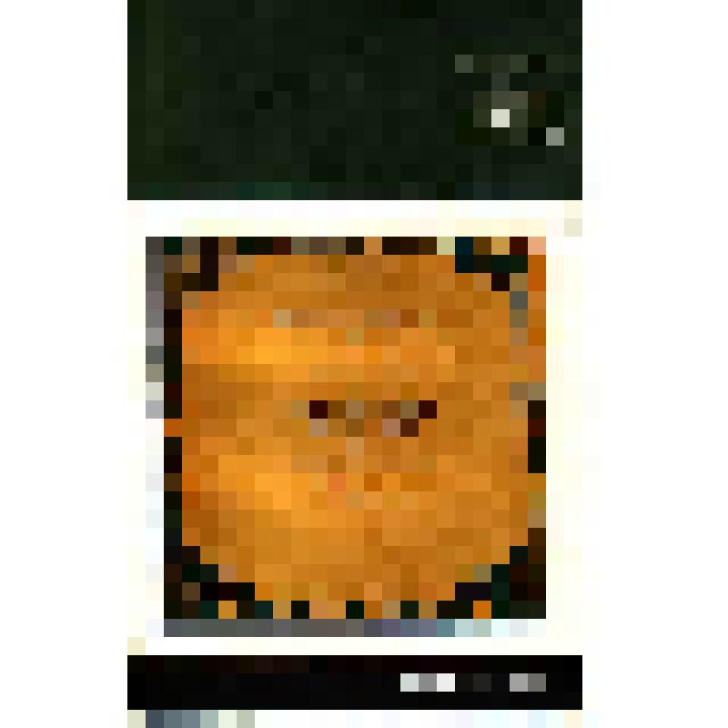 Книга. Поэтика Михаила Зощенко