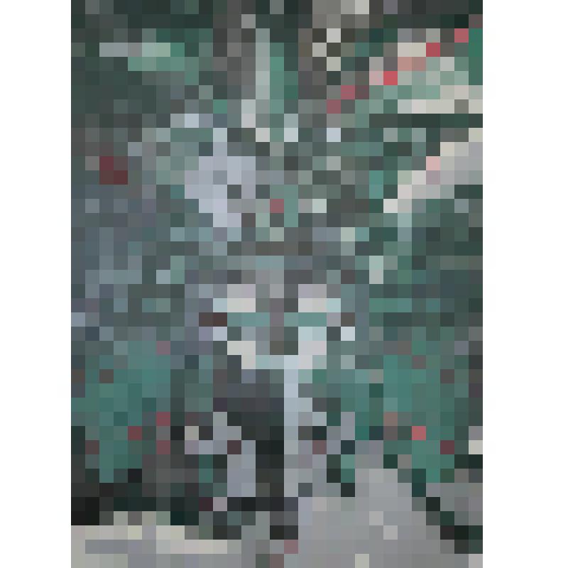 Печатный лист. Корабли уходят в океан, из серии "Военно-морской флот"