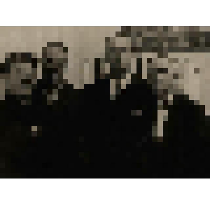 Фотография. Пётр Дмитриевич Бучкин с группой художников
