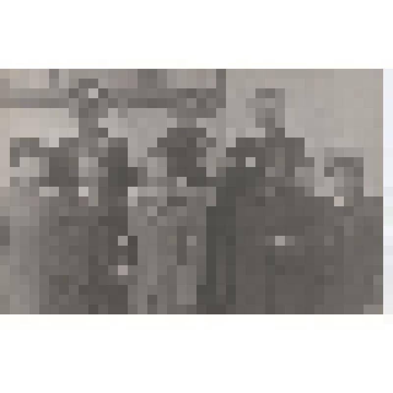 Фотография. Гребенщикова Анна Васильевна в группе ветеранов Великой Отечественной войны 1941-1945 гг