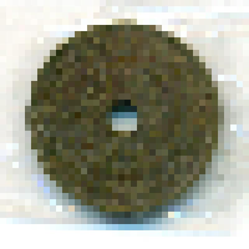 Монета полпени 1964 года, Родезия и Ниазаланд