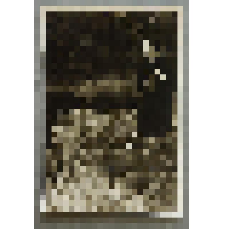 Фото. Н. Образцова с букетом осенних листьев у обрыва