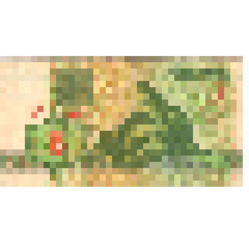 Знак денежный 3 рубля 1992 г., Белоруссия