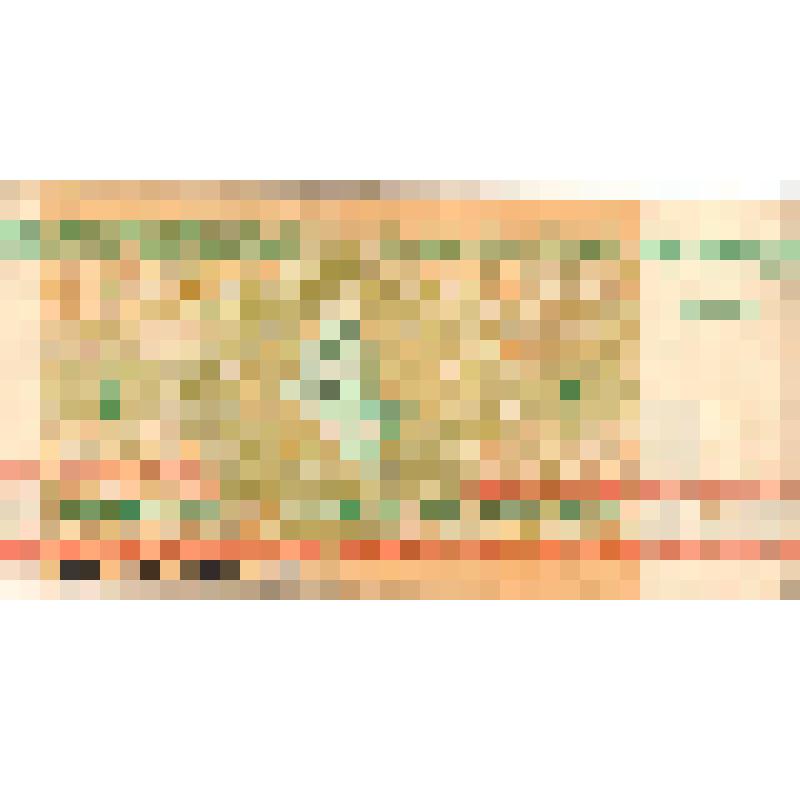 Знак денежный 3 рубля 1992 г., Белоруссия