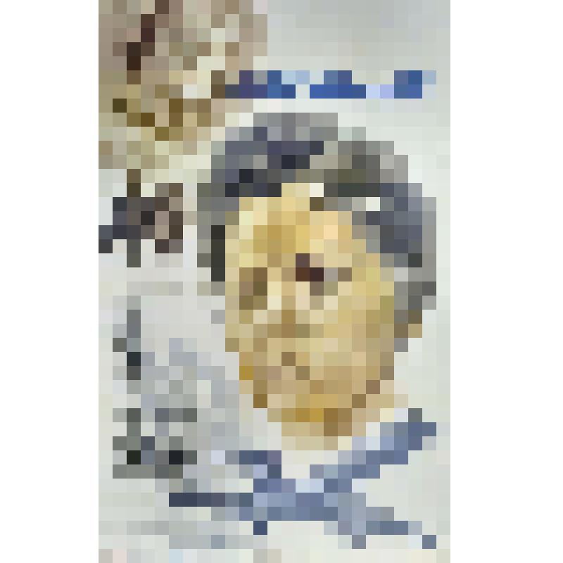 плакат. Фильм: Букет фиалок. 1983