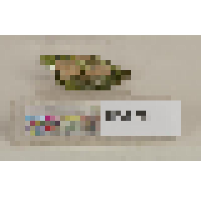 Небольшой фрагмент крышки с розоватым черепком