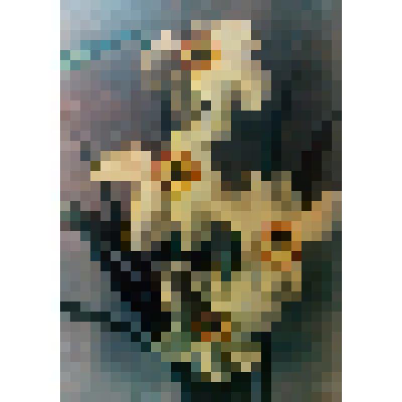 Открытки с видами природы, растений. Нарциссы