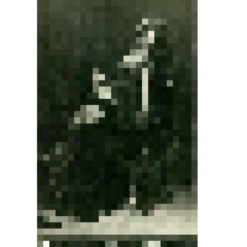 Фотооткрытка. Гельцер Е. в роли Медоры, Жуков Л. в роли Конрада. "Корсар"