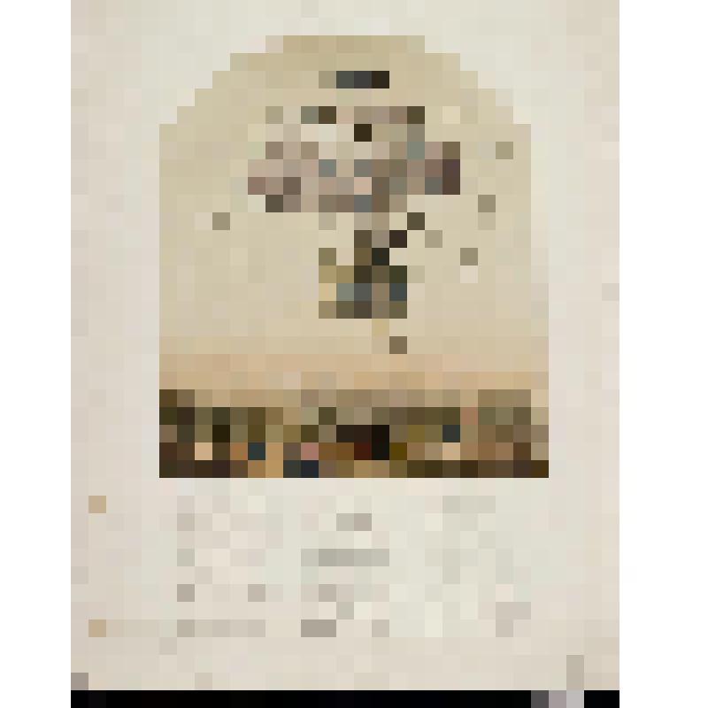 Воздушное путешествие или модный шар-кринолин