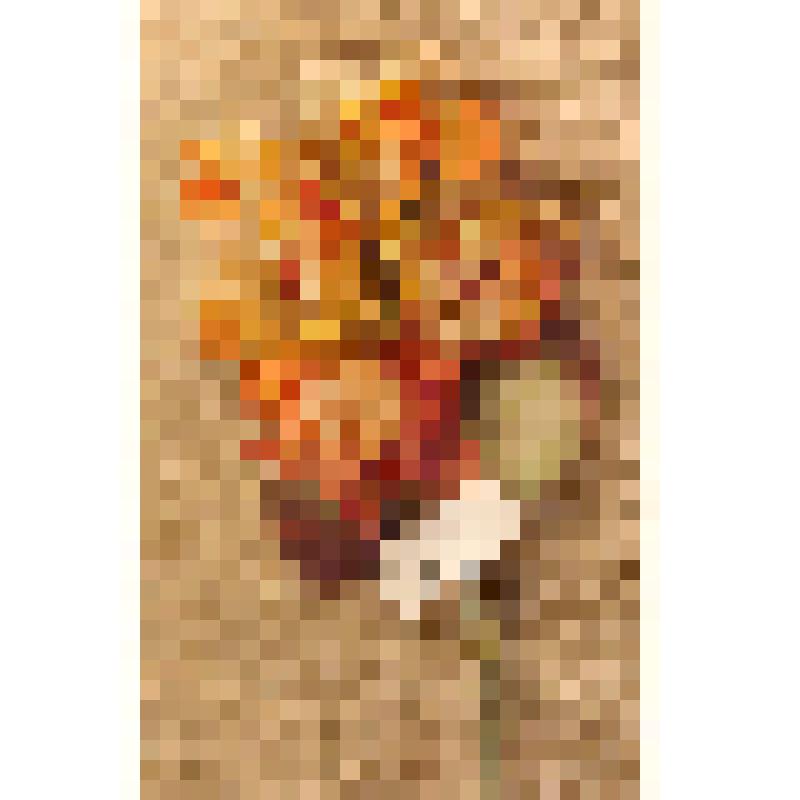 Украшение для дамских шляп, из коллекции документальных и вещевых материалов семьи Орловой Калерии Николаевны, бывшей заведующей лабораторией областного туберкулезного диспансера, пенсионерки